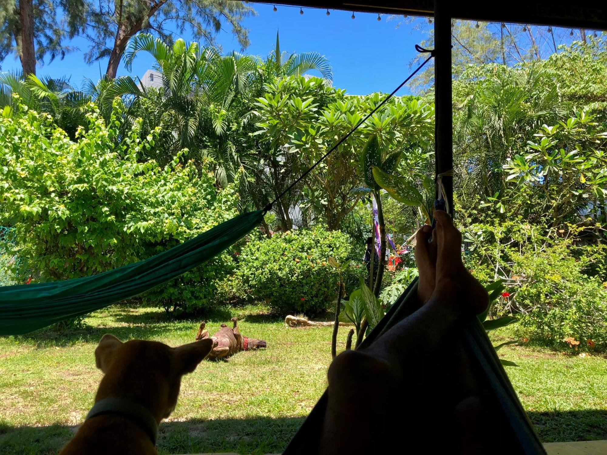 パンタイ・サナングShaka Garden House Langkawiアパートメント エクステリア 写真